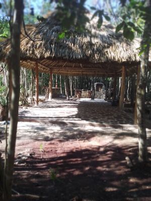 Vendo terrenos en ruta de los Cenotes. Puerto Morelos, Quintana Roo.