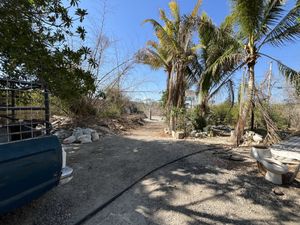 Terreno en Cholul a una cuadra de carretera principal Mérida-Motul