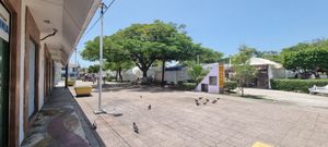 Renta de local en Plaza Tila