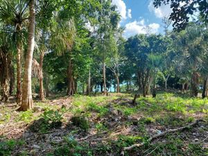 TERRENO ESPECTACULAR EN VENTA BACALAR