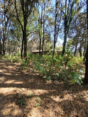 Venta de Terreno en Jilotzingo  Santa Ana Edo. Méx.