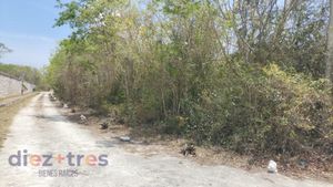 TERRENO EN VENTA  AV. CHAC MOL, CANCÚN