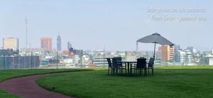 Vista a la ciudad desde los jardines del complejo