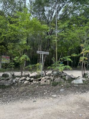 TERRENO VENTA PUEBLO SACBE PLAYA DEL CARMEN COMUNIDAD ECO SUSTENTABLE CON CENOTE