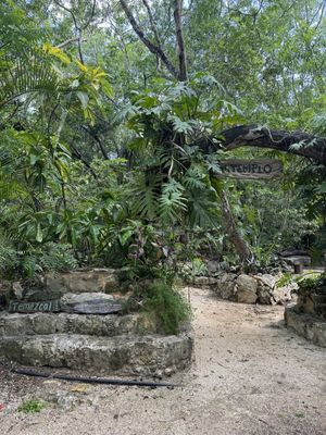 TERRENO VENTA PUEBLO SACBE PLAYA DEL CARMEN COMUNIDAD ECO SUSTENTABLE CON CENOTE