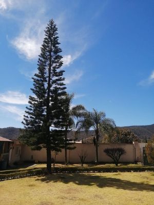 Casa en el bosque de la primavera