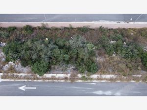 Terreno en Venta en Cumbres Elite Premier García