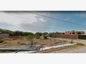 Terreno en Venta en Villa Corona Centro Villa Corona