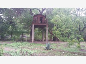 Terreno en Venta en Parras de la Fuente Centro Parras