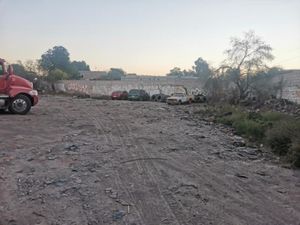 Terreno en Renta en San Isidro Gómez Palacio