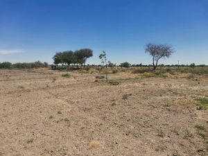 Finca/Rancho en Venta en San Antonio de Gurza San Pedro