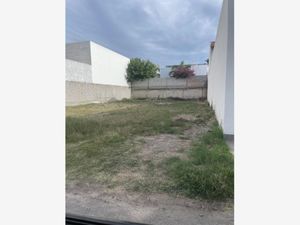 Terreno en Venta en Residencial Frondoso Torreón