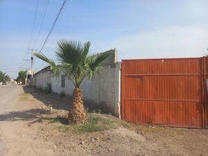 Terreno en Venta en Miguel de la Madrid Hurtado Gómez Palacio