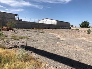 Terreno en Renta en Casa Blanca Gómez Palacio