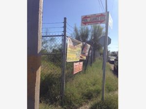 Terreno en Renta en Villa California Torreón