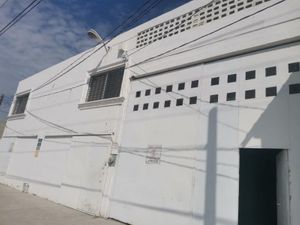 Bodega en Renta en La Concha Torreón