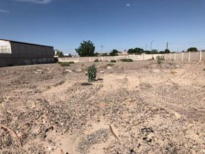 Terreno en Renta en Casa Blanca Gómez Palacio