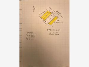 Terreno en Venta en Hormiguero Matamoros