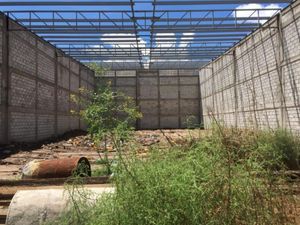 Bodega en Renta en Gomez Palacio Centro Gómez Palacio