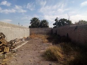 Terreno en Renta en Nogales Gómez Palacio