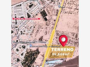 Terreno en Renta en Albia Torreón
