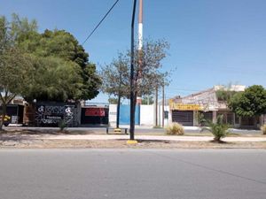 Terreno en Renta en Nueva Aurora Torreón