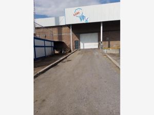 Bodega en Renta en Pequeña Zona Industrial Torreón