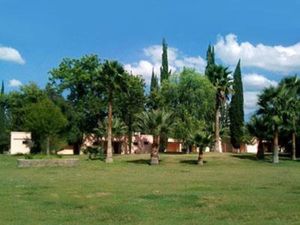 Terreno en Venta en Rincon del Montero Parras