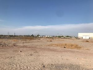 Terreno en Renta en Nueva Laguna Norte Torreón