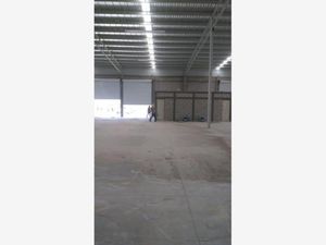 Bodega en Renta en Mieleras Torreón