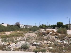 Terreno en Venta en San Antonio Gómez Palacio