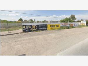 Terreno en Renta en San Isidro Gómez Palacio