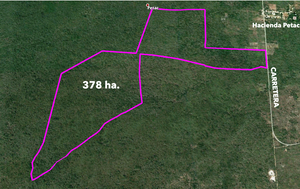 VENTA TERRENO 378 HAS EN TZACALÁ A SOLO 14 KM DE MÉRIDA