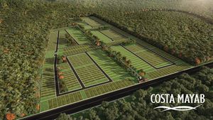 VENTA LOTES DE INVERSIÓN COSTA MAYAB ETAPA 4