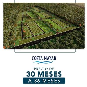 VENTA LOTES DE INVERSIÓN COSTA MAYAB ETAPA 4