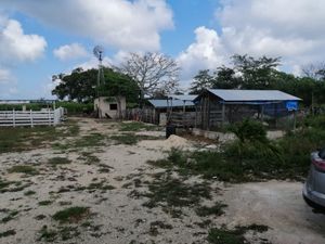 Terreno en Venta, en Dzilam González, Yuc. (40 Has)