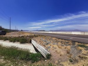 Terreno en Venta en San Ignacio Gómez Palacio