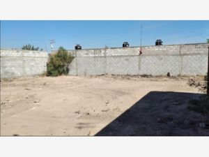 Terreno en Venta en La Rosita Torreón