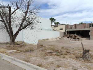 Terreno en Venta en Residencial las Isabeles Torreón