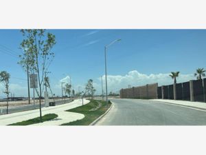 Terreno en Renta en Alebrijes Residencial Torreón