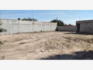 Terreno en Venta en La Rosita Torreón