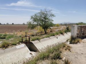 Terreno en Venta en San Ignacio Gómez Palacio