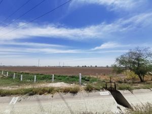 Terreno en Venta en San Ignacio Gómez Palacio