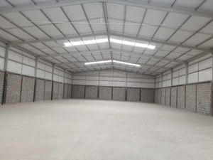 Bodega en Renta en Pequeña Zona Industrial Torreón