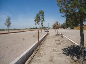 Terreno en Venta en La Concha Torreón