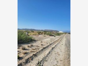 Terreno en Venta en Parras de la Fuente Centro Parras