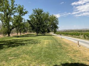 Terreno en Venta en Parras de la Fuente Centro Parras