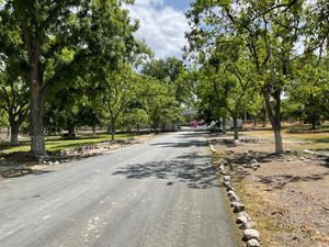 Terreno en Venta en Parras de la Fuente Centro Parras