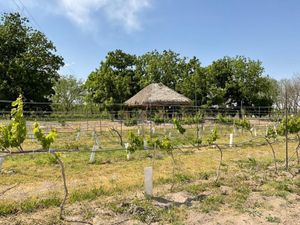 Terreno en Venta en Parras de la Fuente Centro Parras