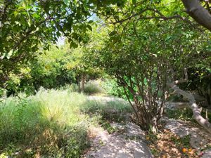 Terreno en Venta en Villa de Guadalupe Lerdo